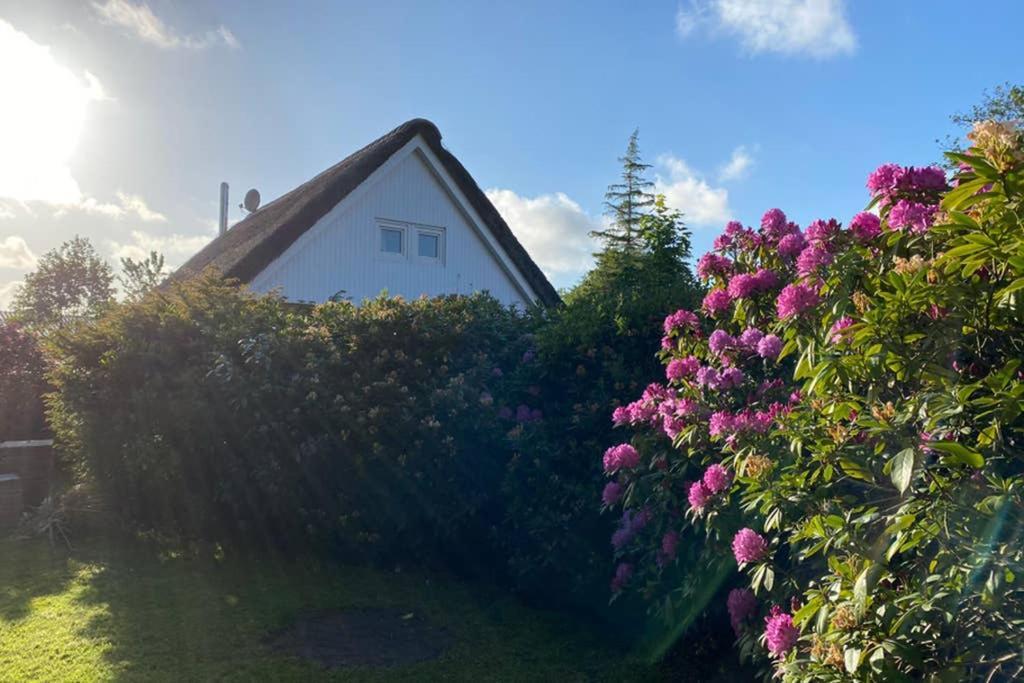 Ferienhaus Butterblume Sudbrookmerland Exterior photo